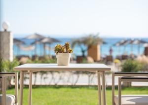 assano_no11_00031_large